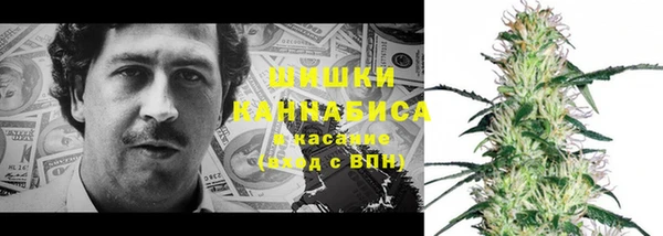МДПВ Костерёво