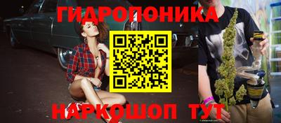a pvp Ставрополь