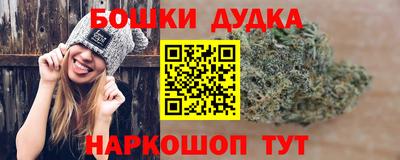 a pvp Ставрополь