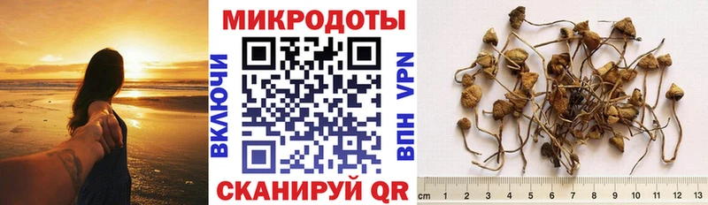 что такое наркотик  Реутов  Псилоцибиновые грибы GOLDEN TEACHER 