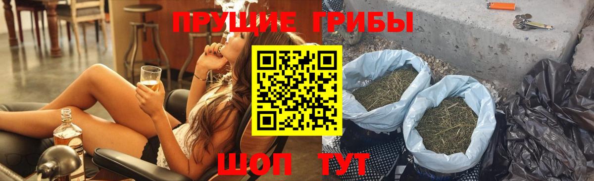 Галлюциногенные грибы Psilocybine cubensis Реутов