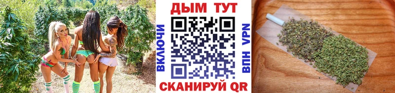 Конопля планчик  Реутов 